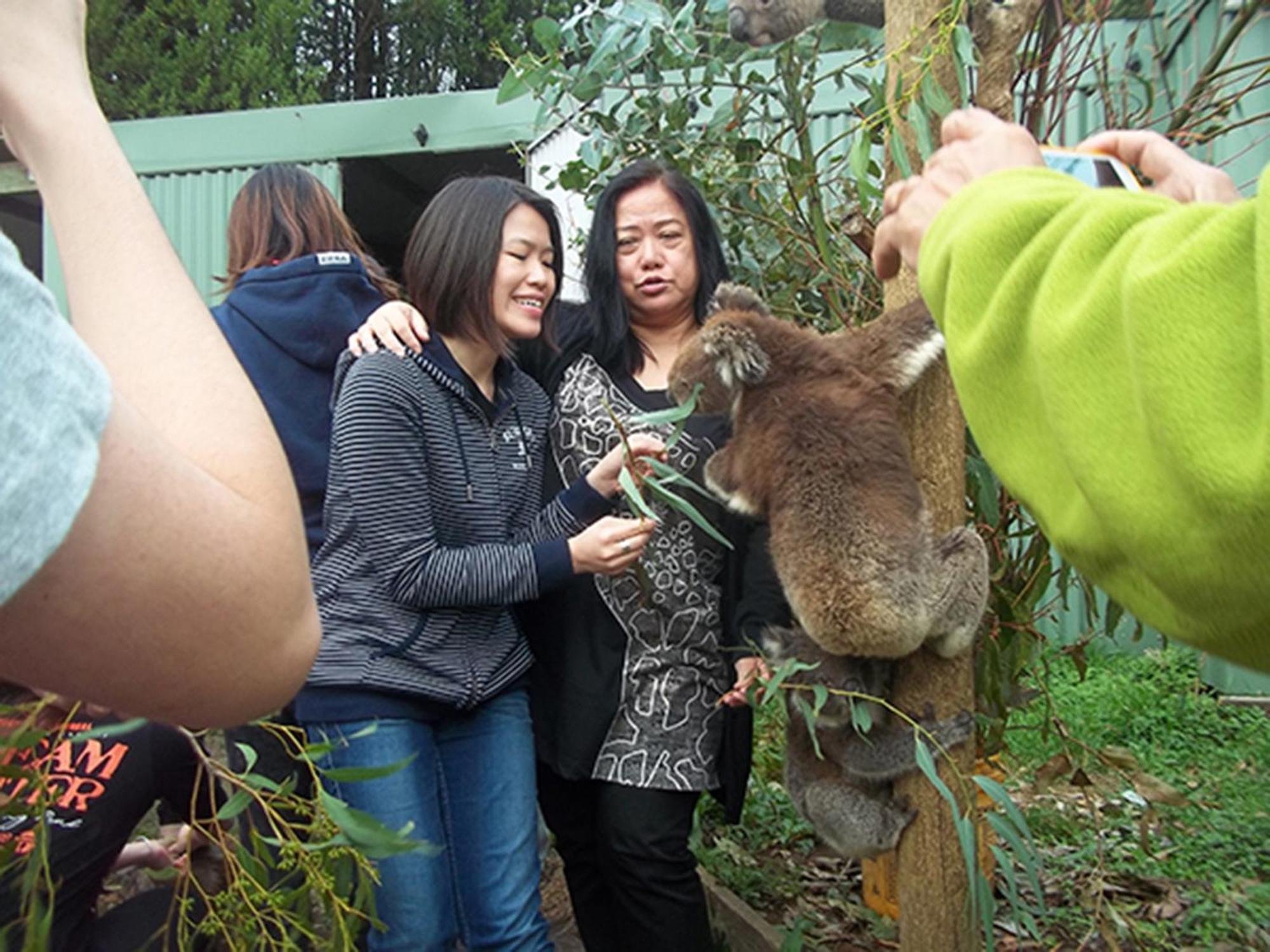 Fauna Australia Wildlife Retreat Lavers Hill Exteriör bild