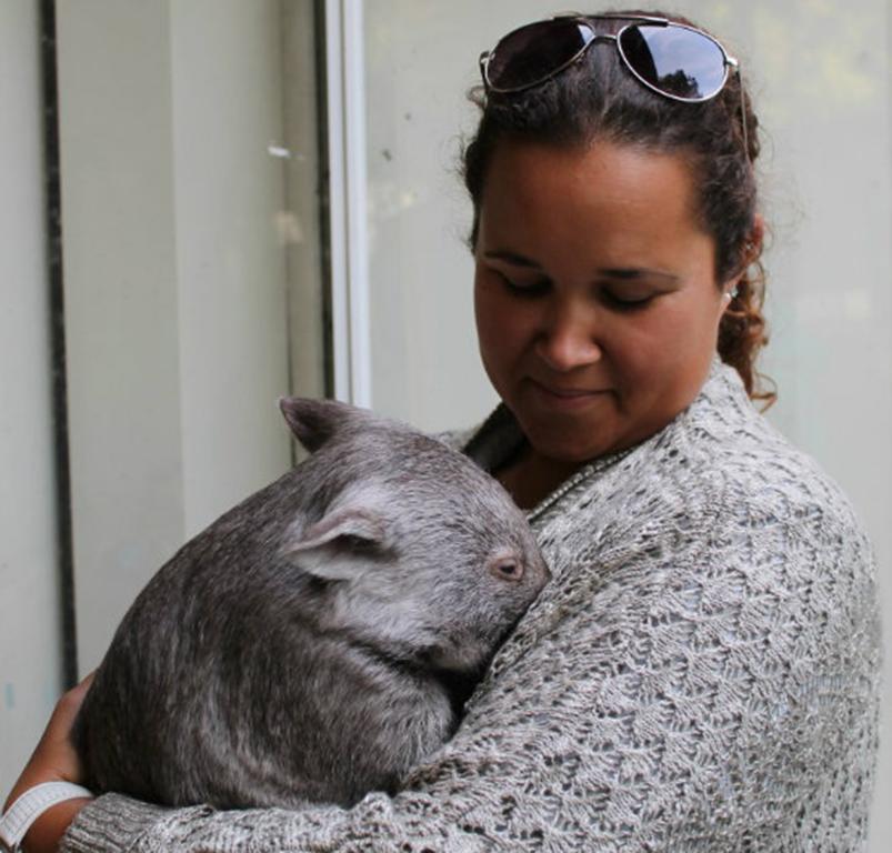 Fauna Australia Wildlife Retreat Lavers Hill Exteriör bild