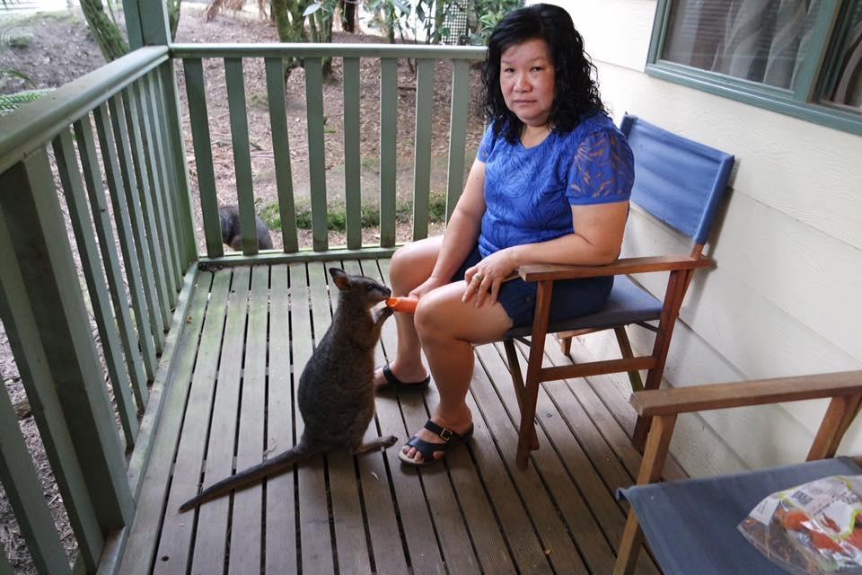 Fauna Australia Wildlife Retreat Lavers Hill Exteriör bild