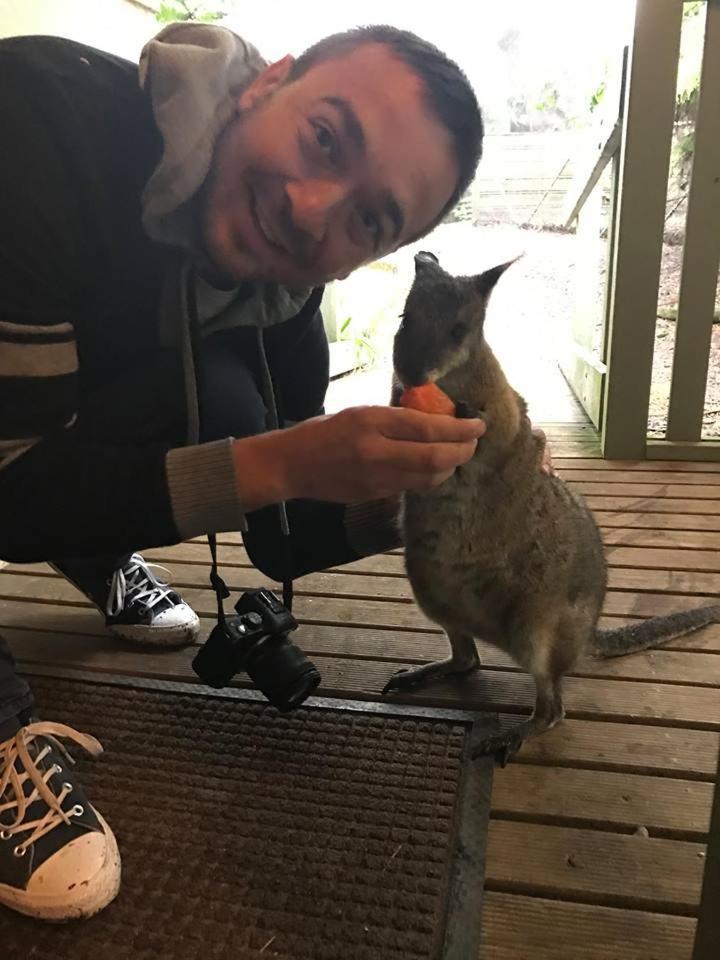 Fauna Australia Wildlife Retreat Lavers Hill Exteriör bild