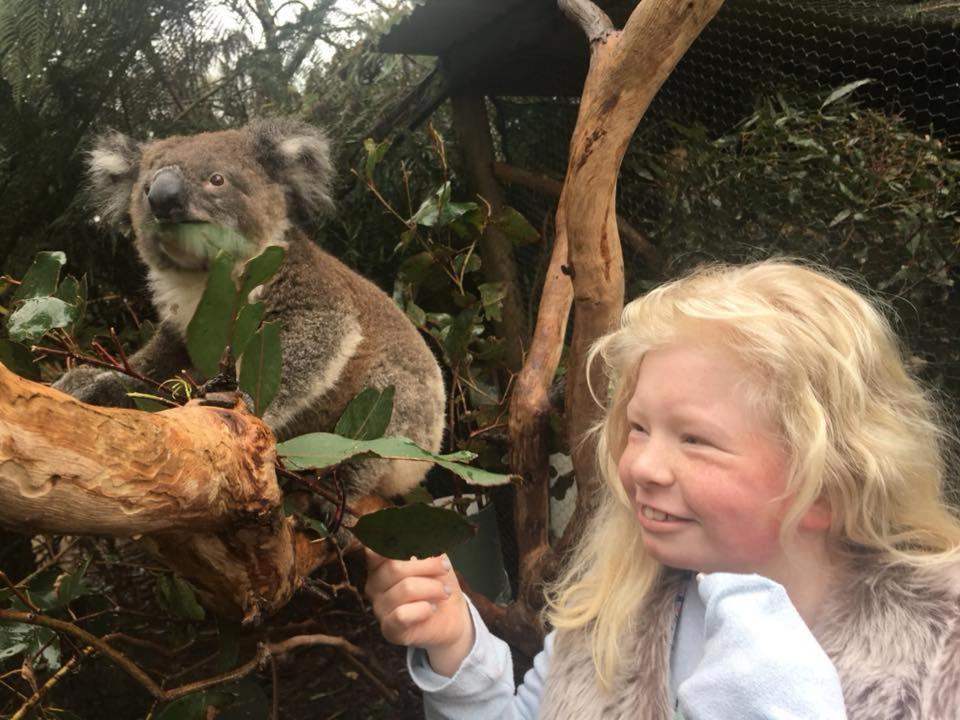 Fauna Australia Wildlife Retreat Lavers Hill Exteriör bild
